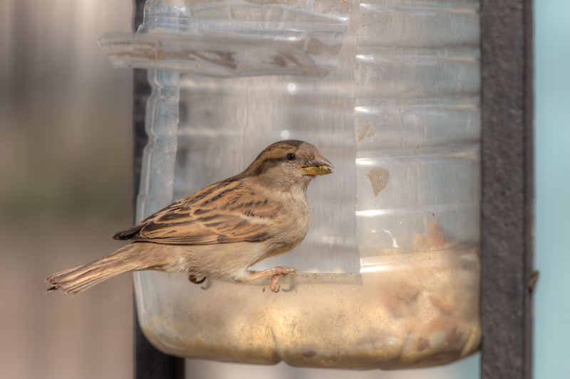 Engaging Employees in Optimized Recycling Efforts